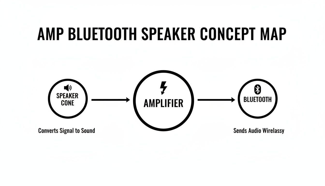A concept map showing the signal flow from Speaker Cone to Amplifier and then to Bluetooth for an amp bluetooth speaker.
