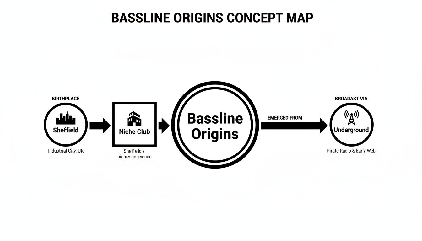 A concept map showing the origins of Bassline music from Sheffield's Niche Club, broadcast underground.